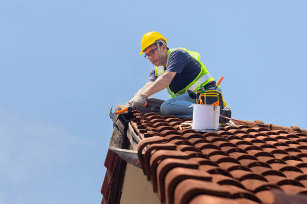 Best Gutter Installation and Repair  in USA